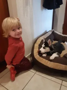 Einzug von Balou
