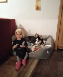 mit Balou im Körbchen