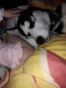 Balou schälft bei Lütte